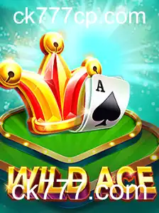 Explorando WildAce: Tudo o Que Você Precisa Saber